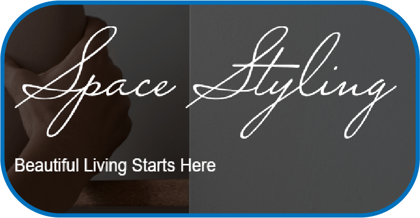 Space Styling logo